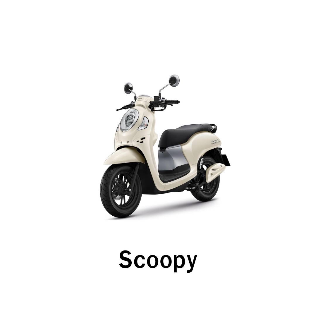 Scoopy
