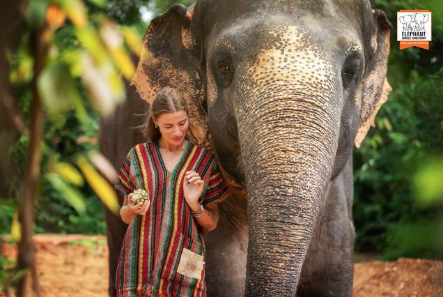 WALK WITH ELEPHANTS EXPERIENCE