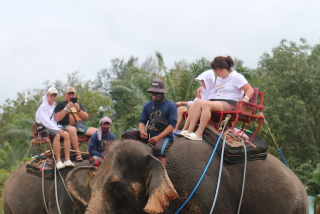 ELEPHANT TREKKING