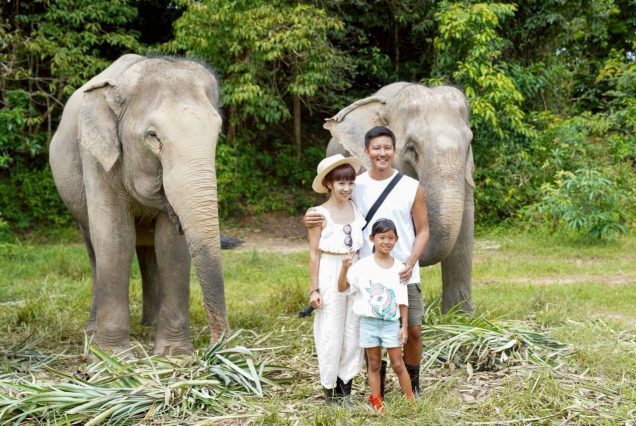 MINI ELEPHANT NATURE PROGRAM