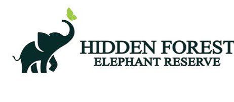 HIDDEN FORSET ELEPHANT RESERVE