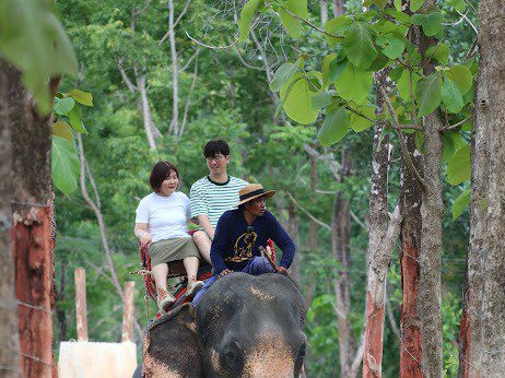 ELEPHANT TREKKING