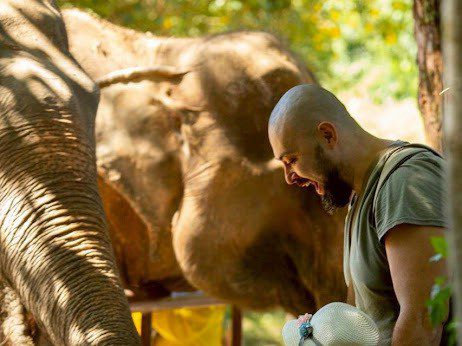 ELEPHANT NATURE PROGAM