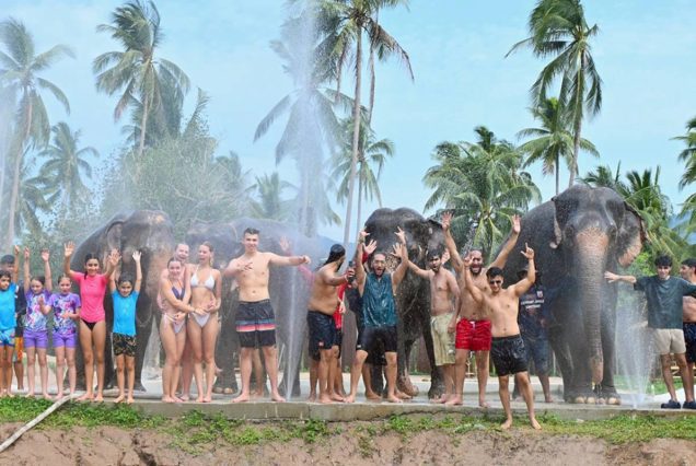 Elephant Jungle Sanctuary