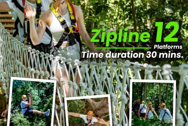Zipline package: Ep3: 12 Platforms