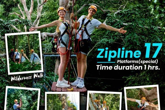 Zipline package: EPS: 17 Platforms (Specials)