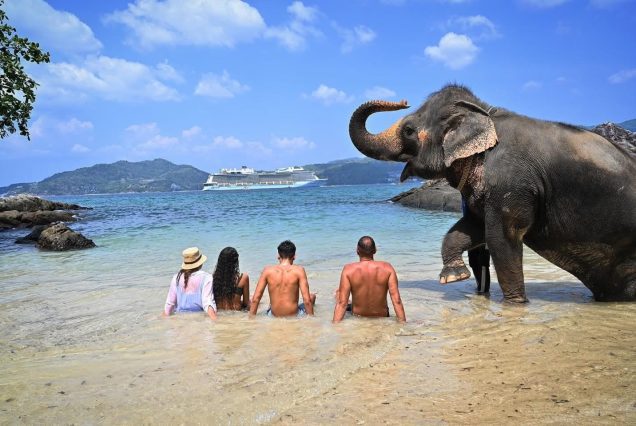 Phuket Elephant On The Beach